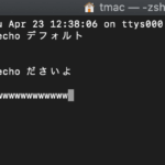 【zsh】最速で素のターミナルをカスタマイズする